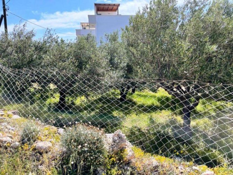 Makry Gialos Südostkreta, Makry Gialos: Grundstück mit Meerblick zu verkaufen Grundstück kaufen